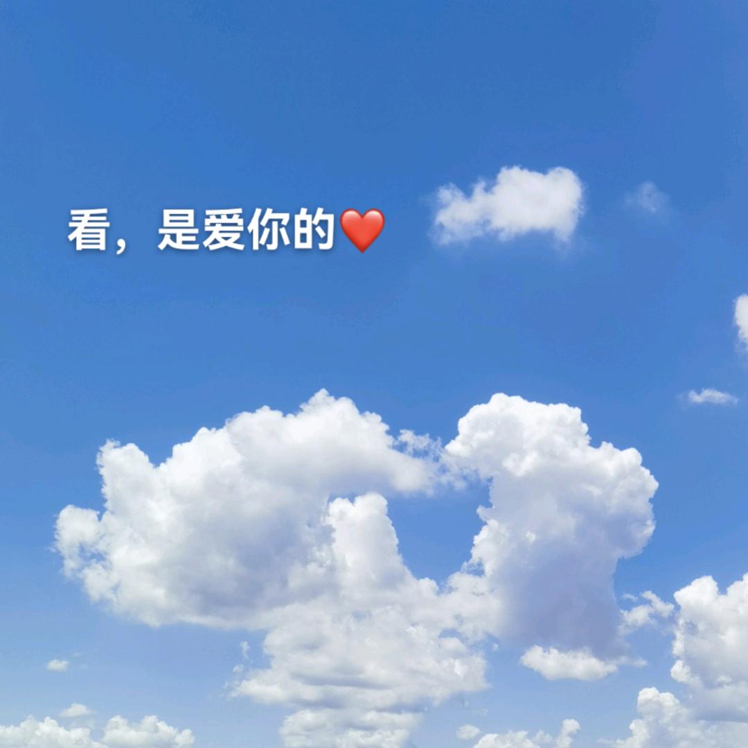 兔子的口袋呀