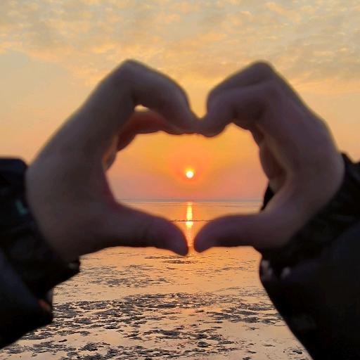 ㊗️明月照大江🈶💰