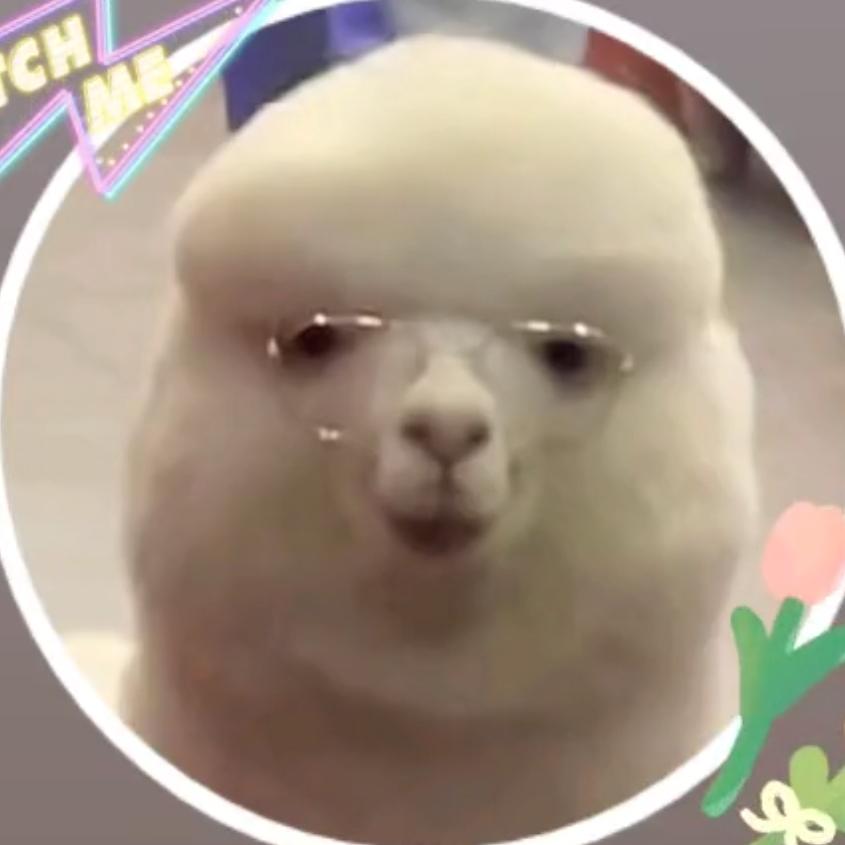 安庆九号迎宾西路店菠萝仔仔