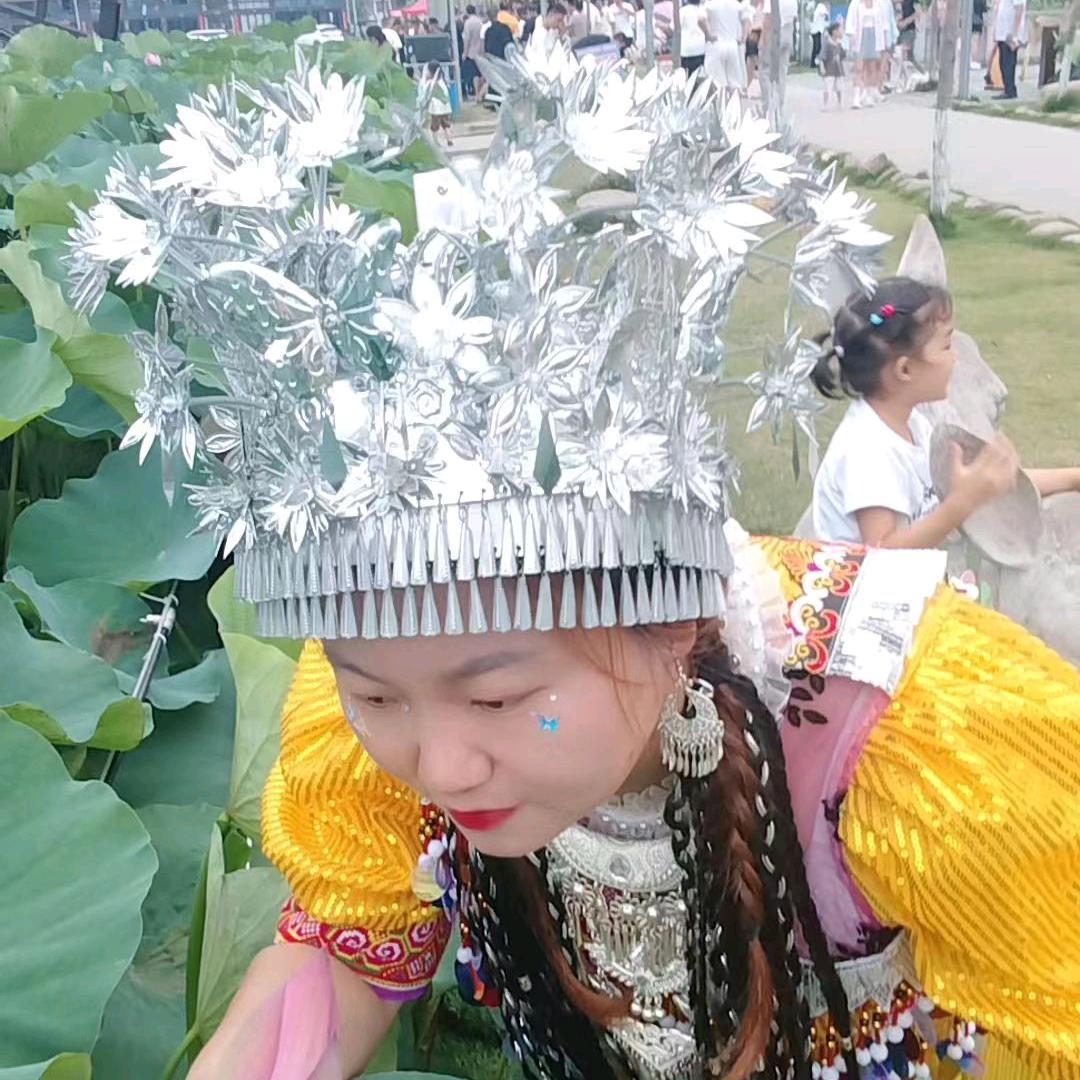 伤城离歌