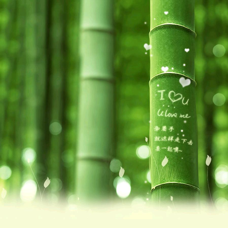 鱼小鱼吃喝玩乐