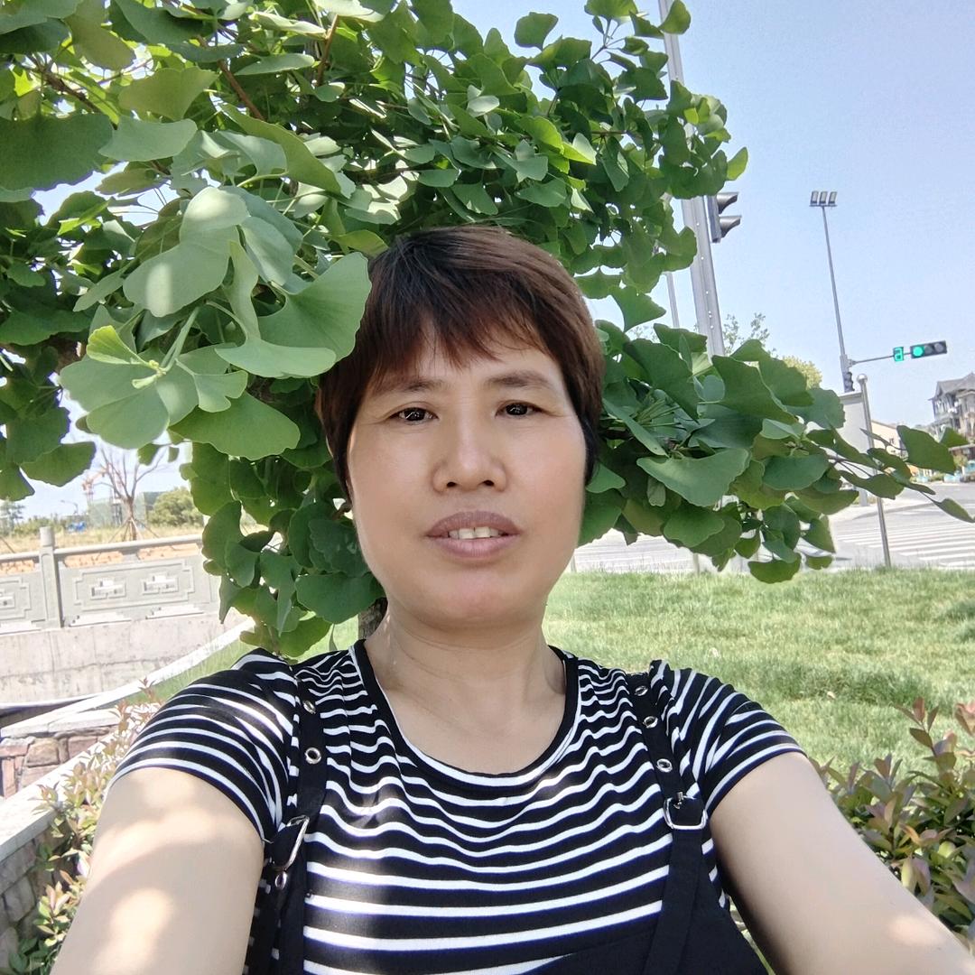简单(付)