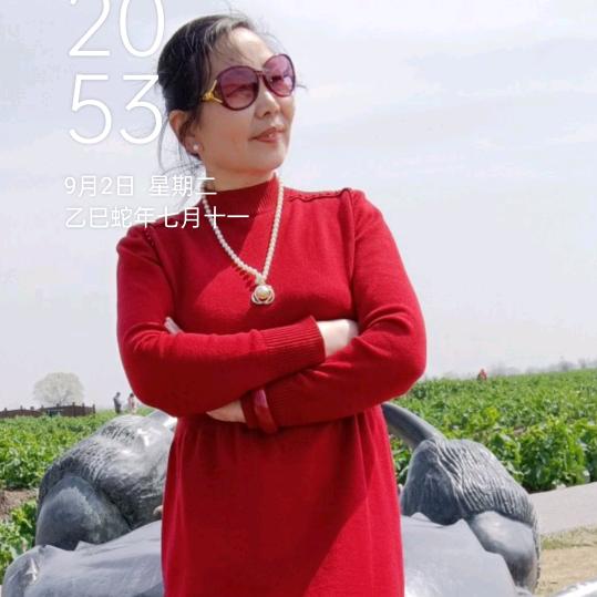 一枝梅晚上7点开播《无锡方言》