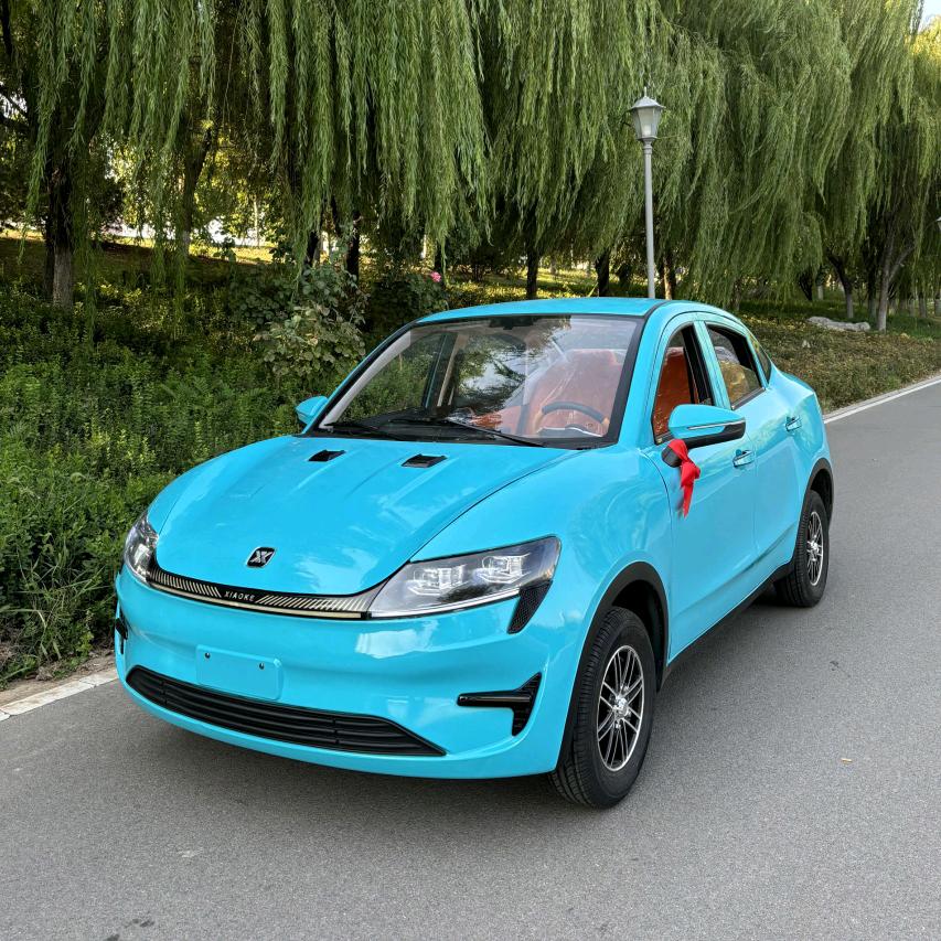 盛科新能源高端四轮代步车