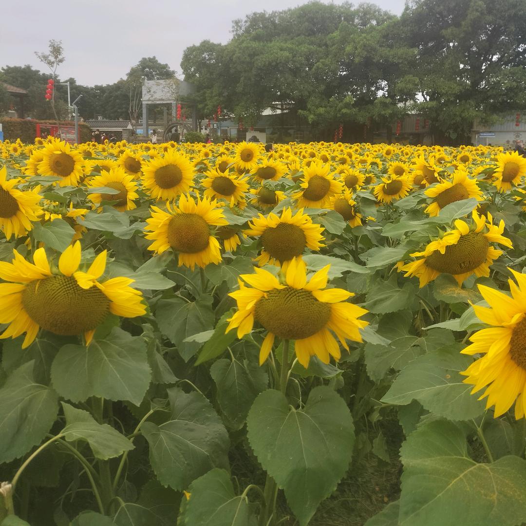 上门收废品！工地，工厂，各种塑胶，垃圾