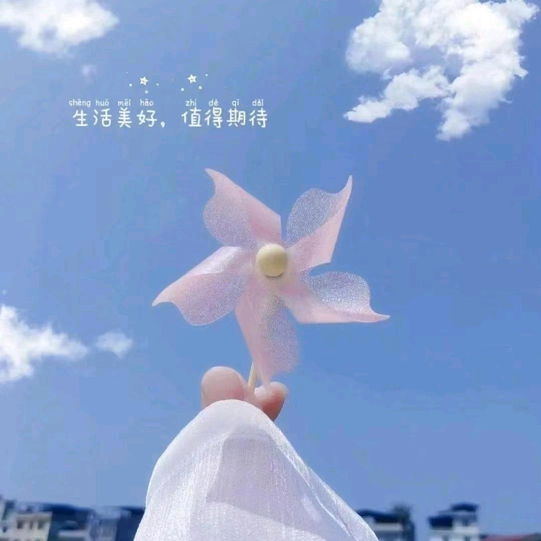 人生若只如初见