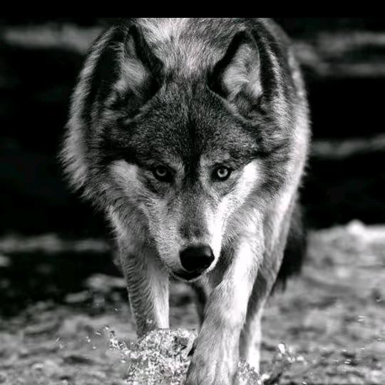 错，错，错 是我的错