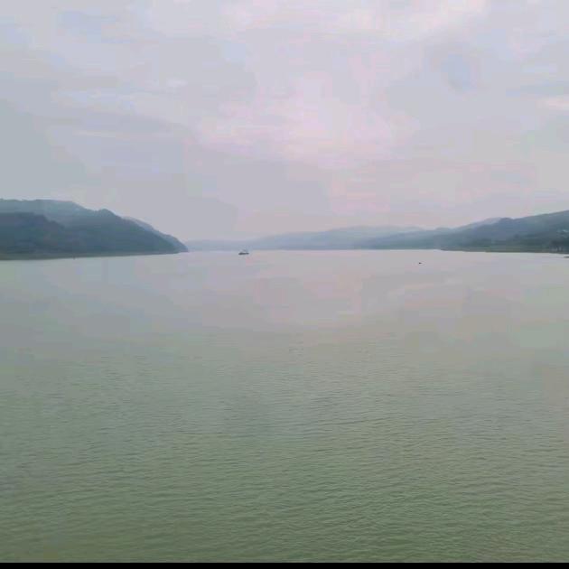 大成東哥⁷¹⁹⁹