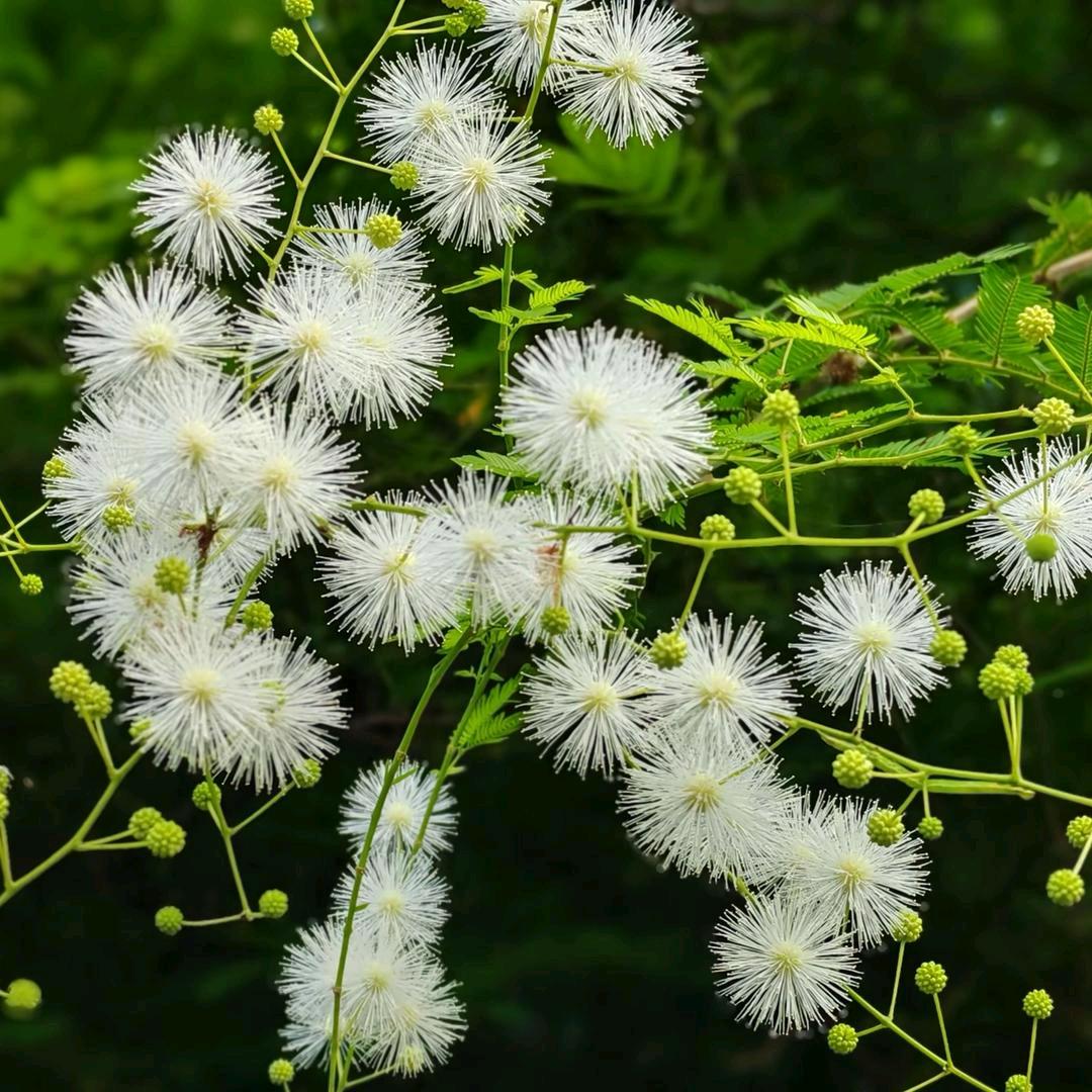 ꦻꦼ  㞮孞 🍂࿐《