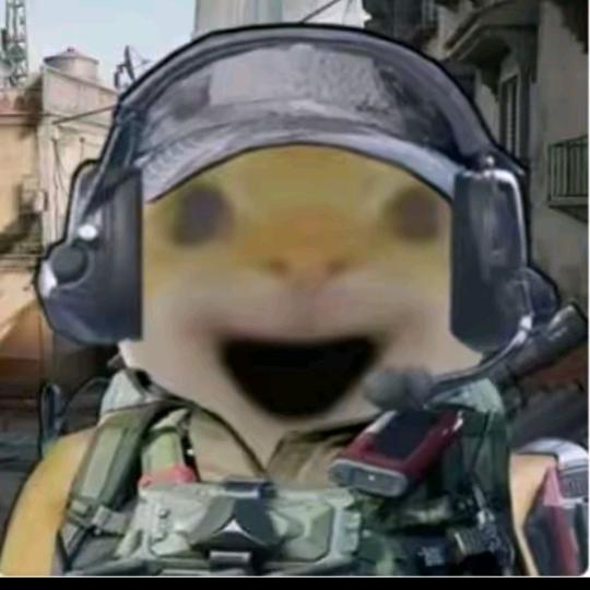 小凡（三角洲行动）