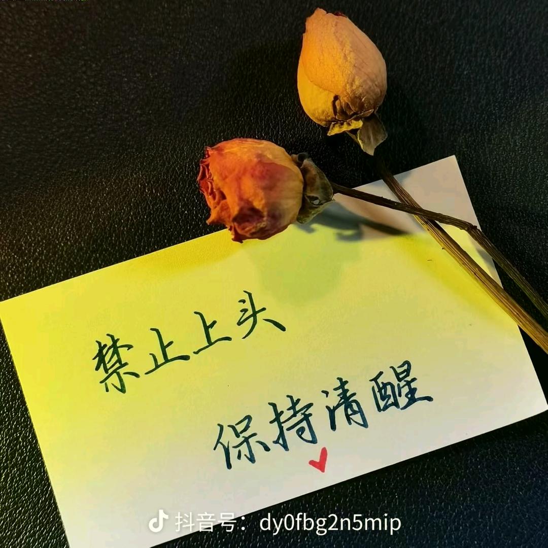 এ᭄⍨故人☁࿐