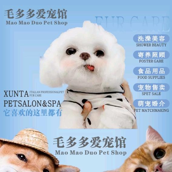 毛多多爱宠馆（宠物美容培训）
