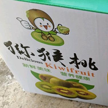 芮氏果园猕猴桃成熟季