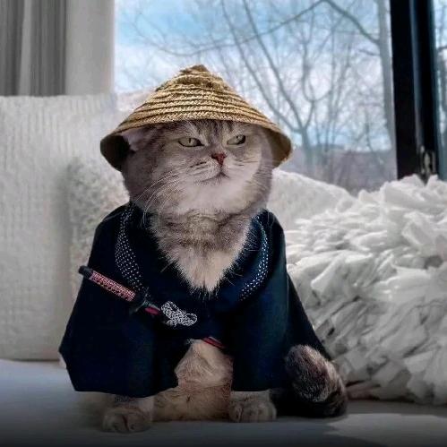 玉树临风英俊潇洒风流倜傥山崩地裂水倒流