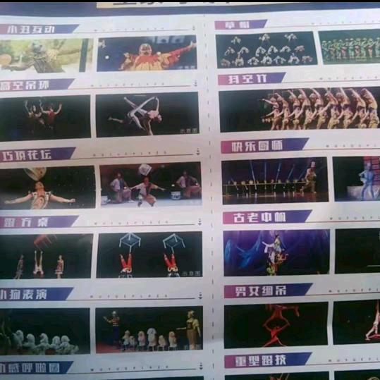 宿州马戏团是单身