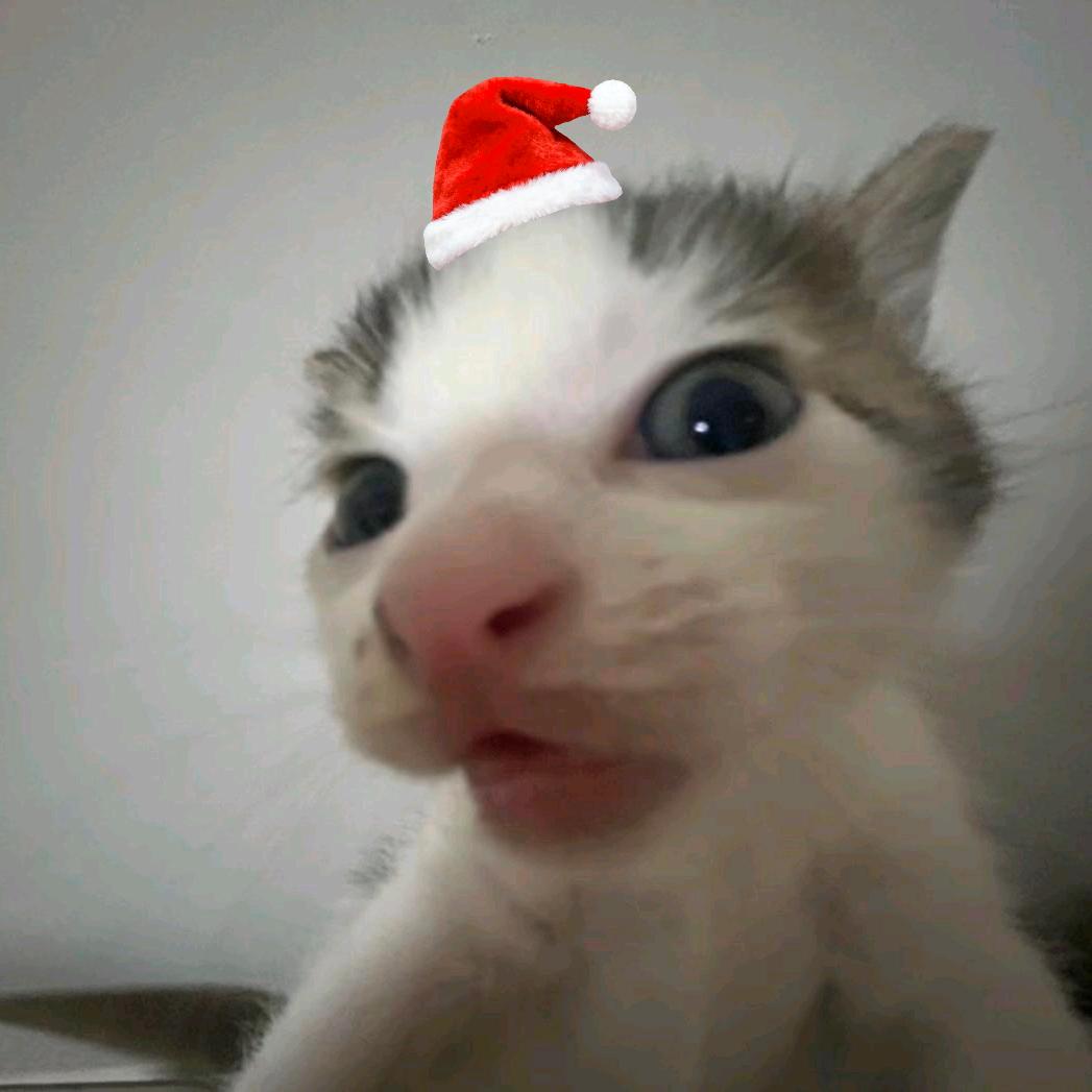 麻辣小野猫
