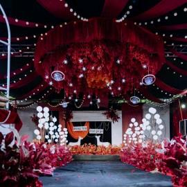 主持人小利（缘梦婚庆18：30直播）