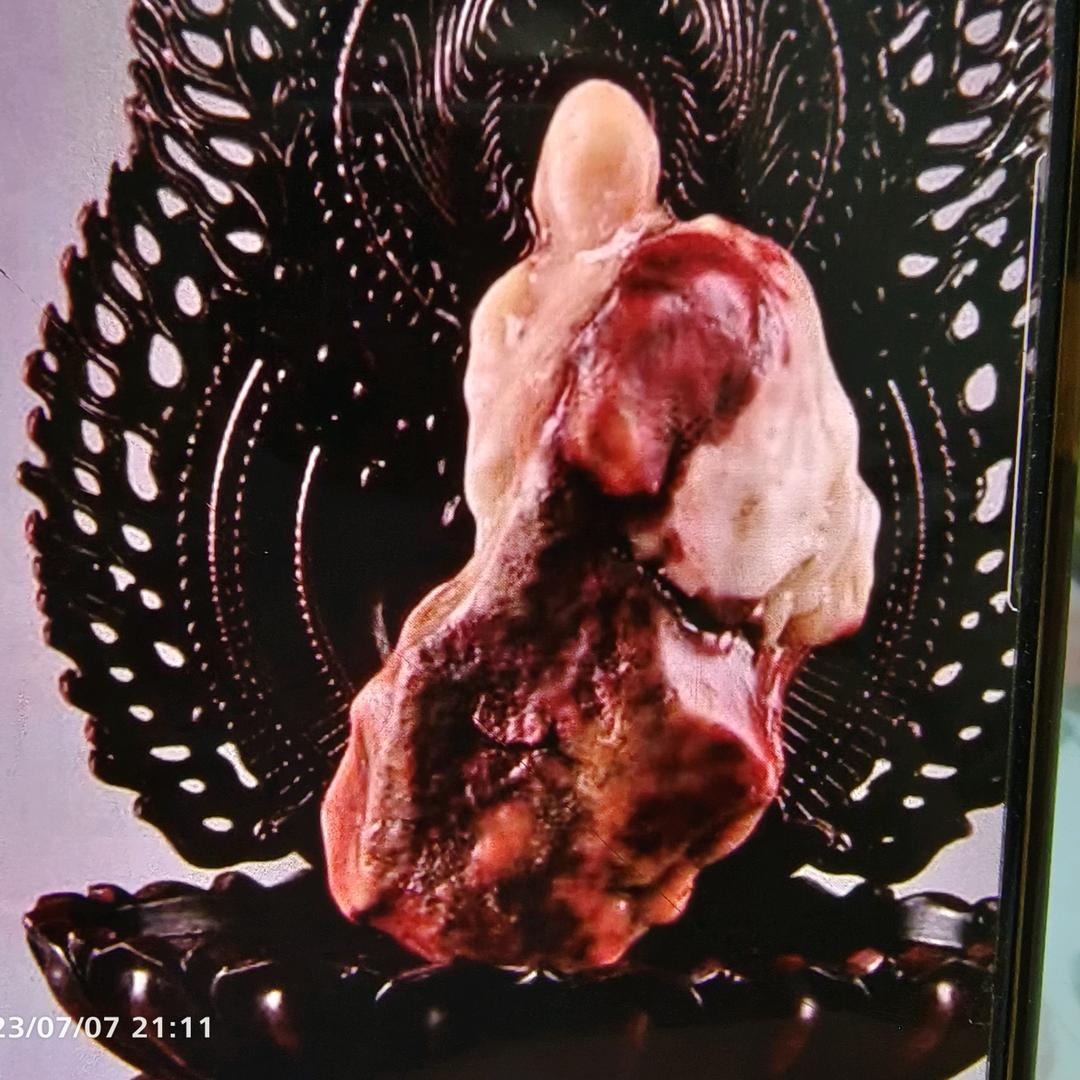 五彩阿拉善奇石1