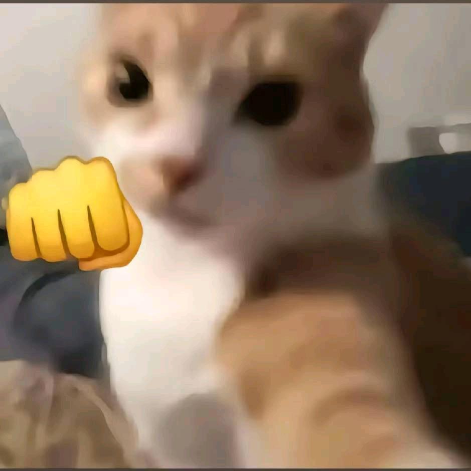 过两天