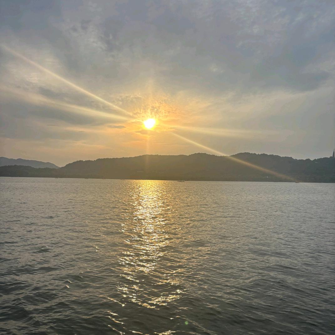 清茶苦酒