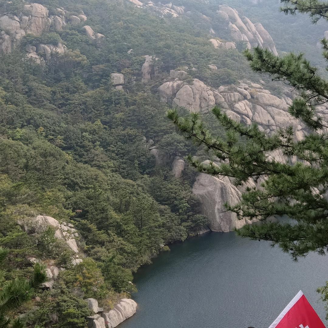 张小哥