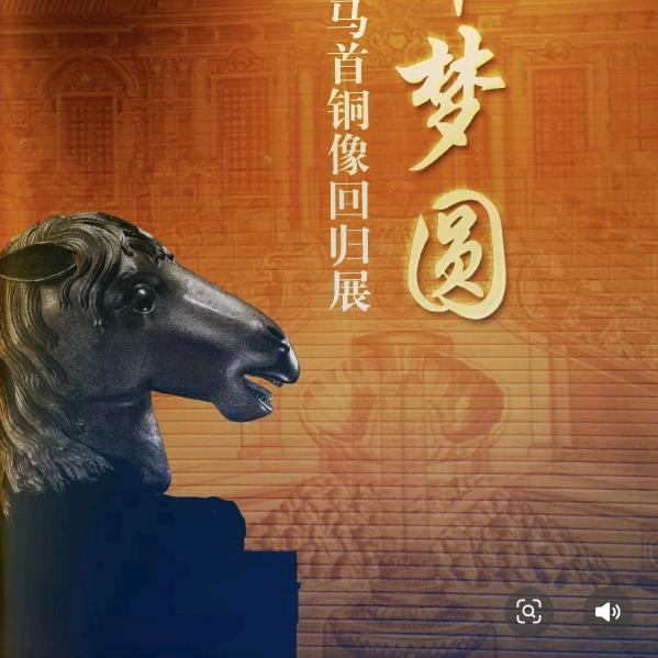 👍强哥👍