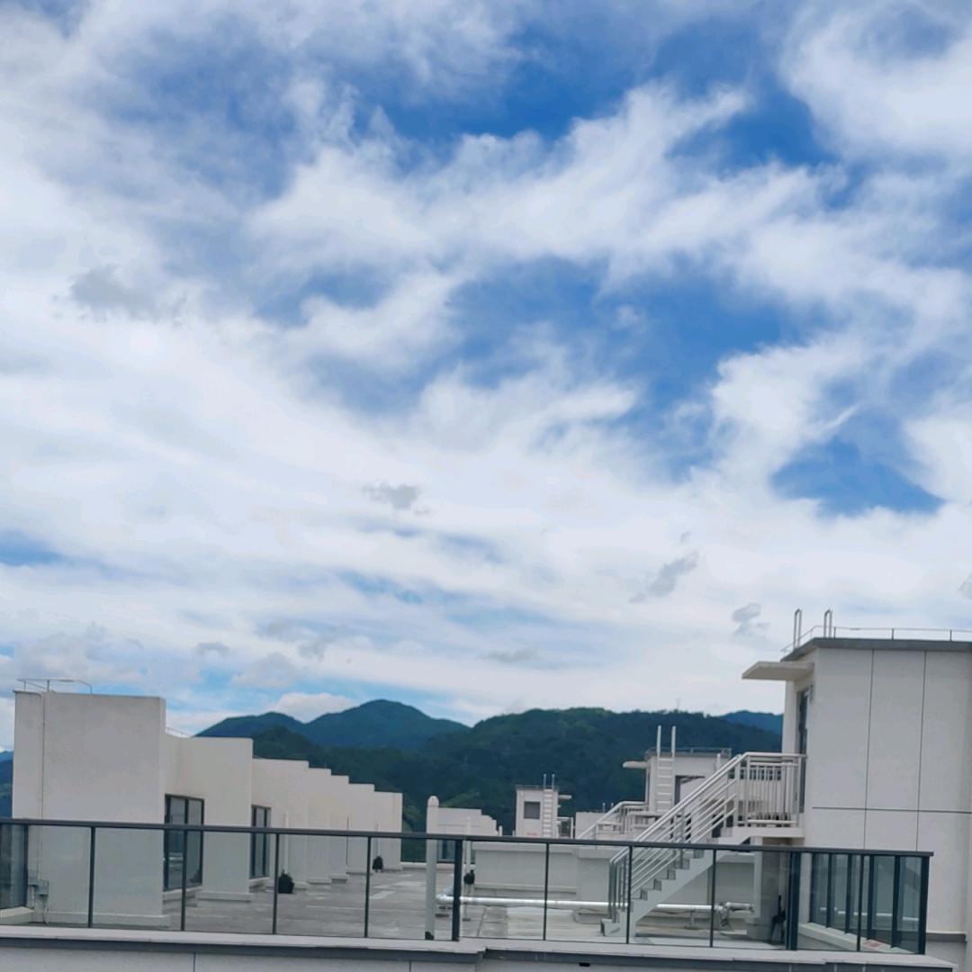 凤鸣九天