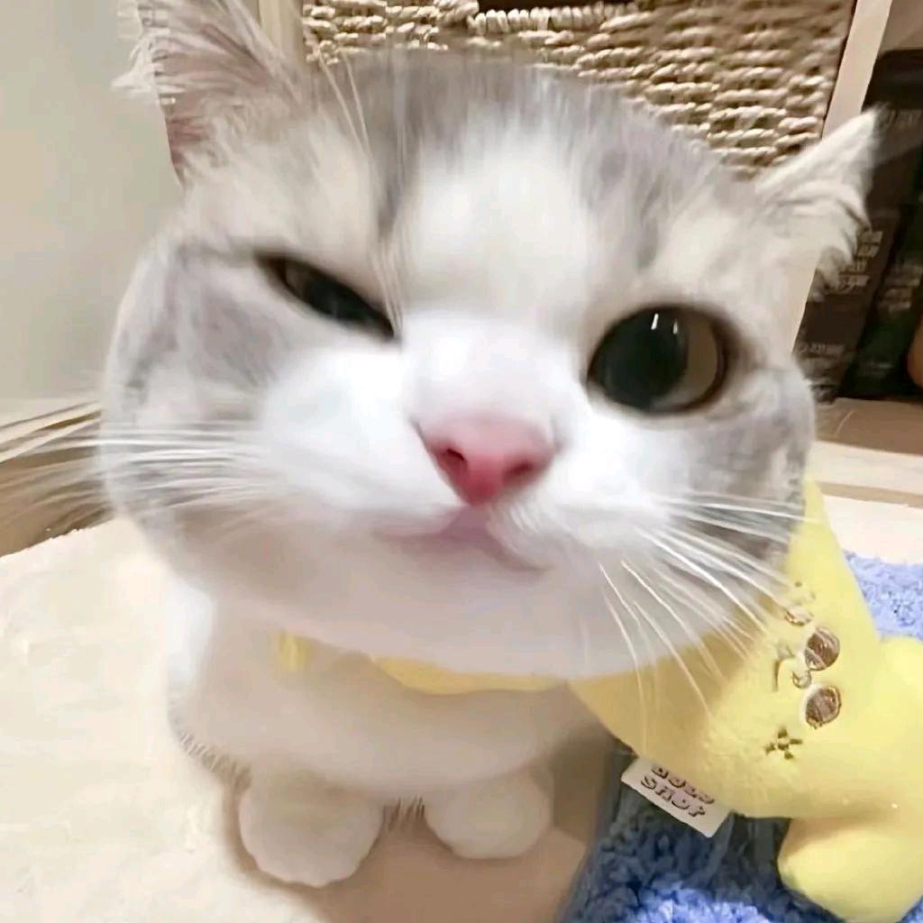 马超