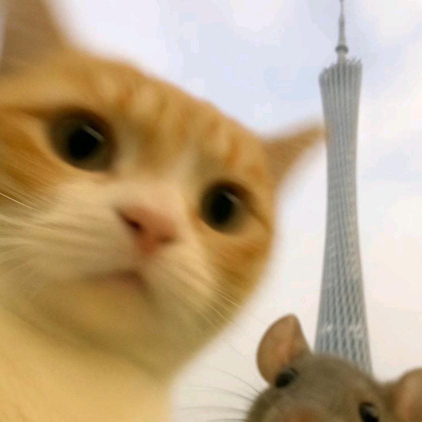 锦程