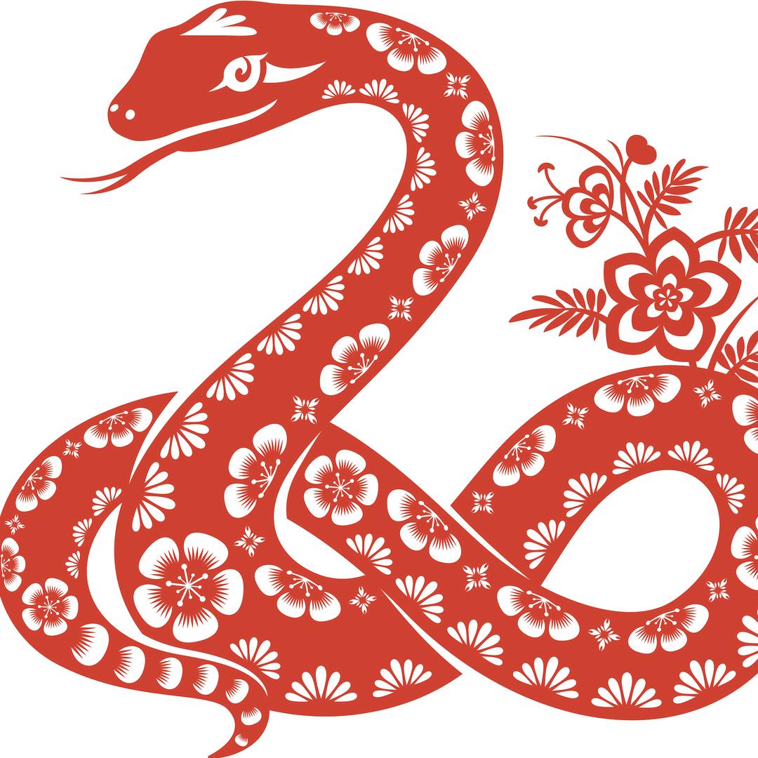 明 子