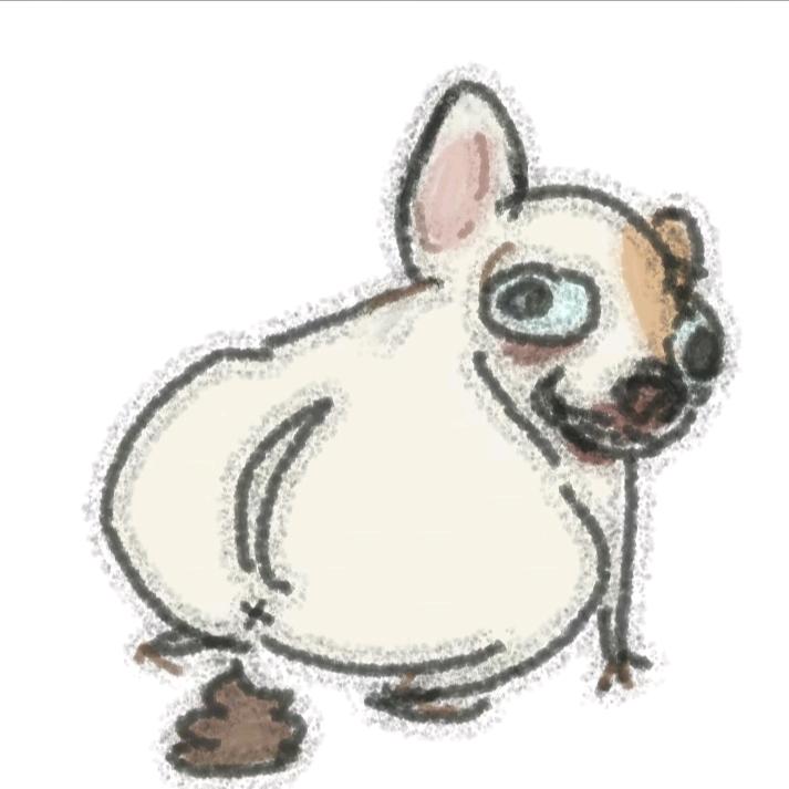 三条五头像