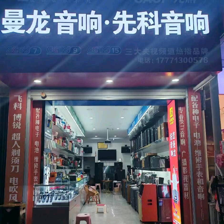 英山曼龙音响先科音响