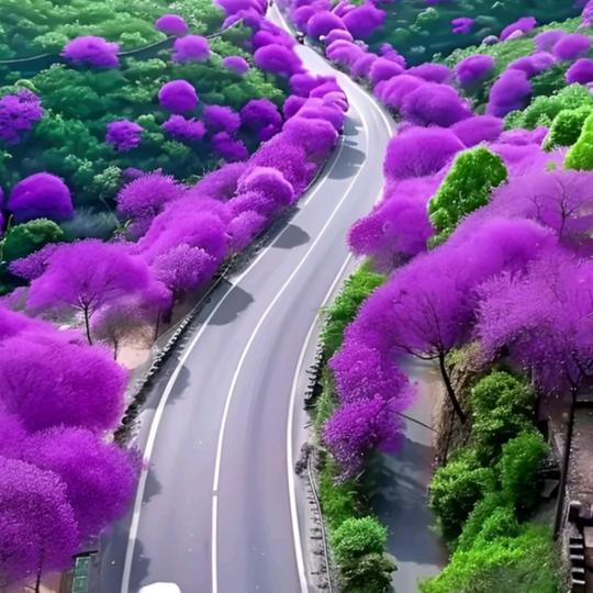 风雨踏浪