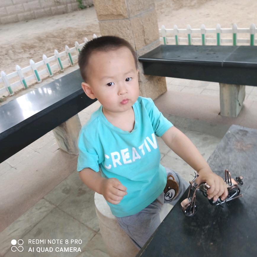 意志仍在