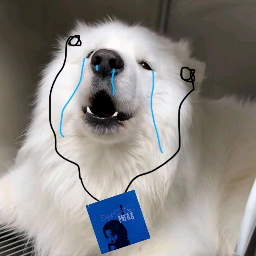 狐言乱语
