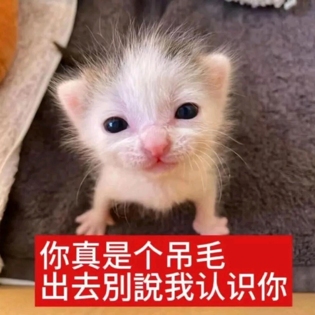 抽愁丑臭
