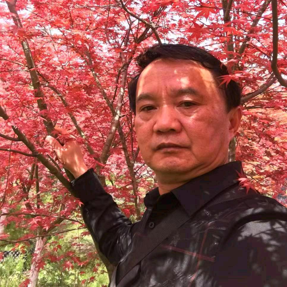 港商之旅