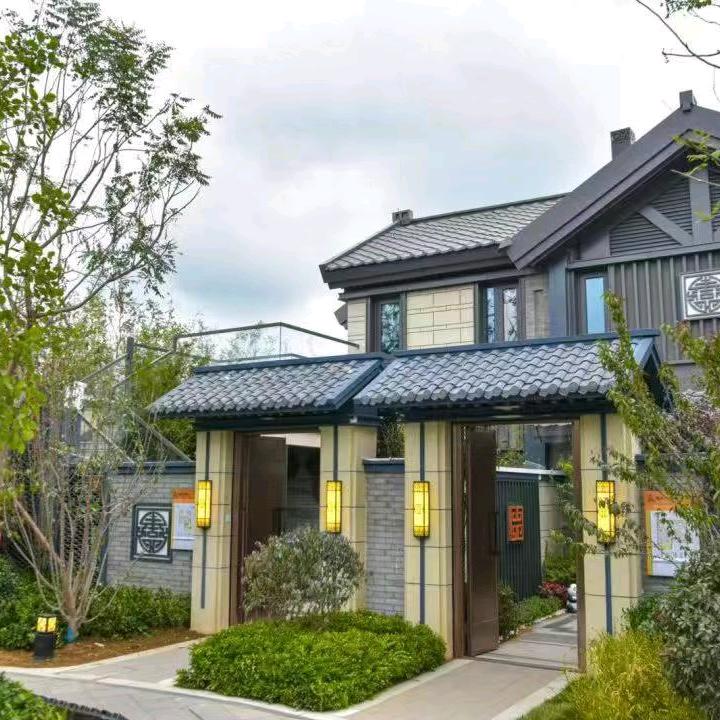 地铁跑酷专业版直播