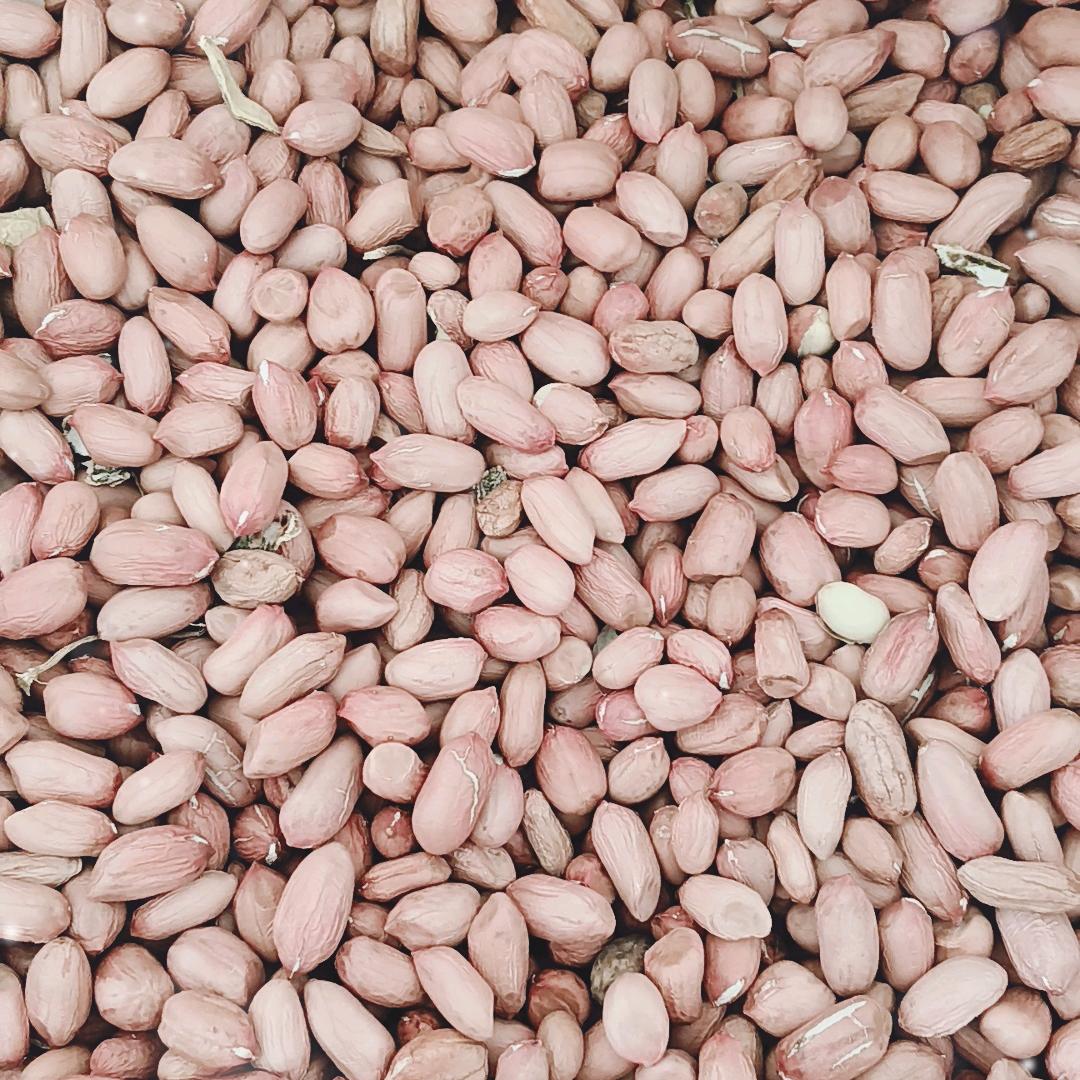 孔怕不李我🌸收购花生大蒜