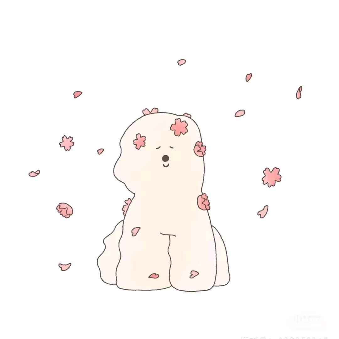 榕树的影