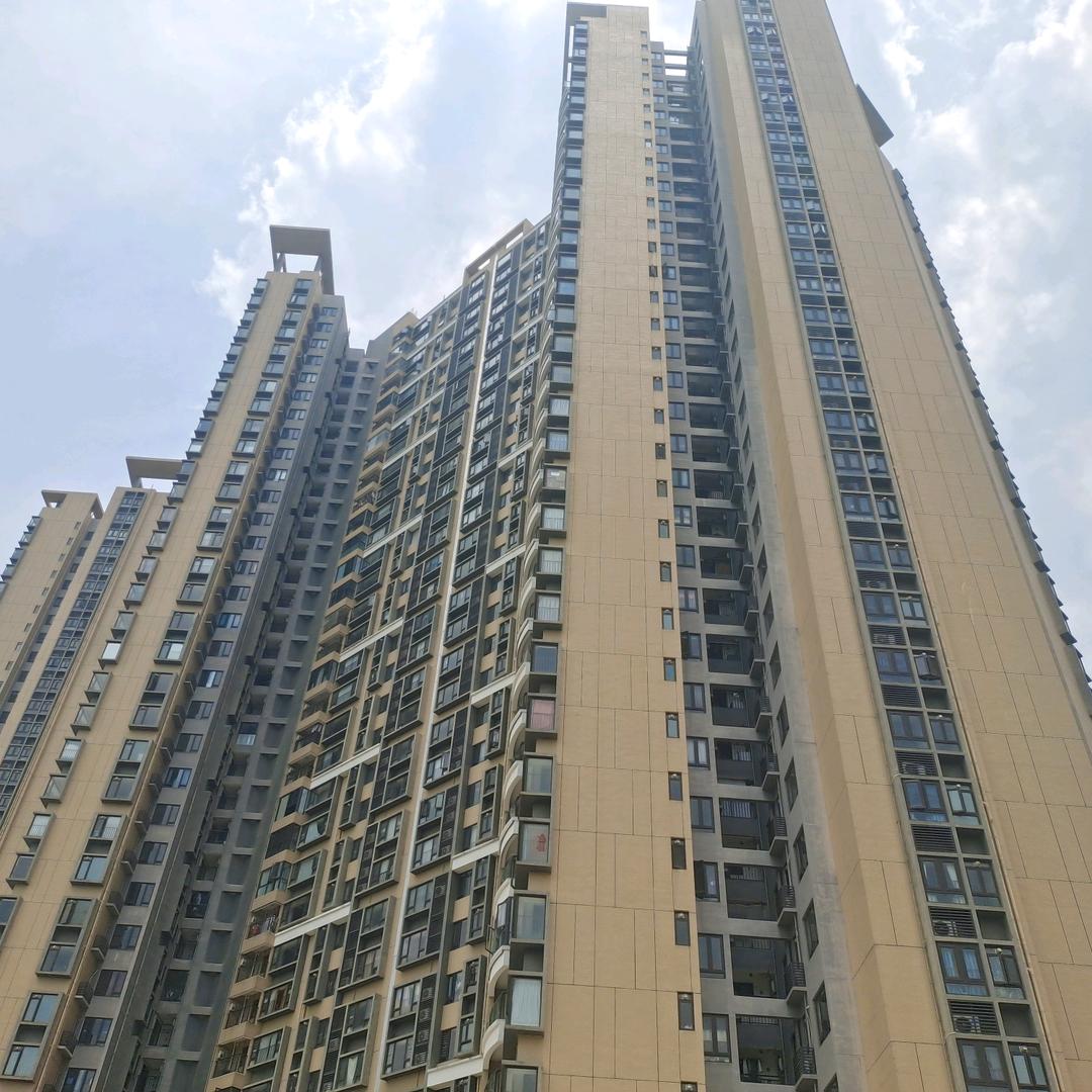 VU  看过的那片海