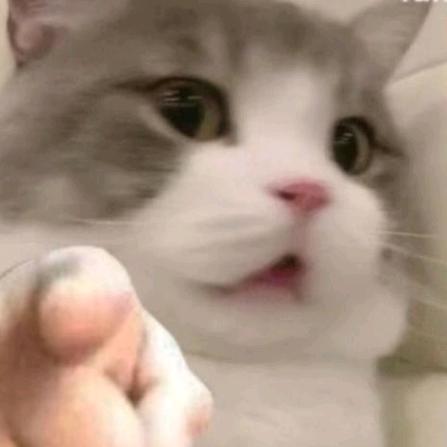 胖 虎