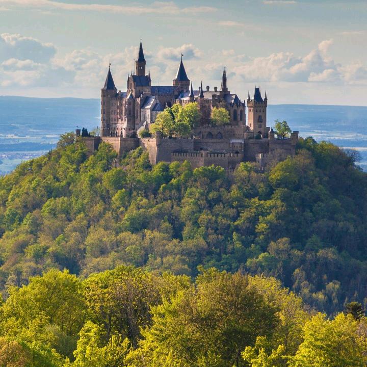 到处乱逛，看了就忘！