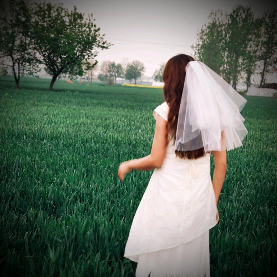 明明如月