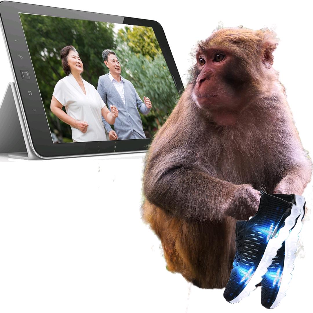 吗喽小慌（跑步小方）不私聊