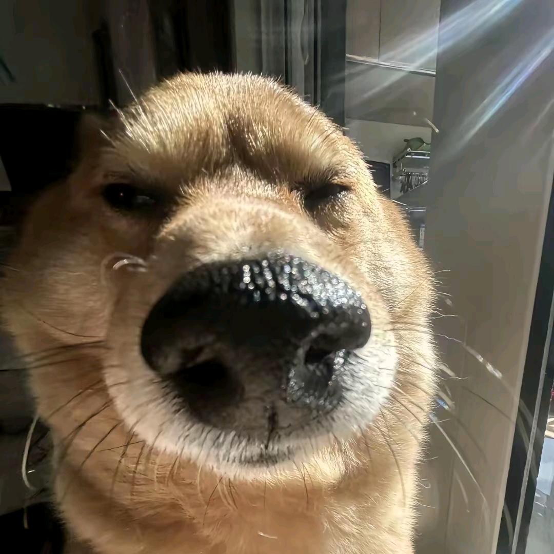 余安