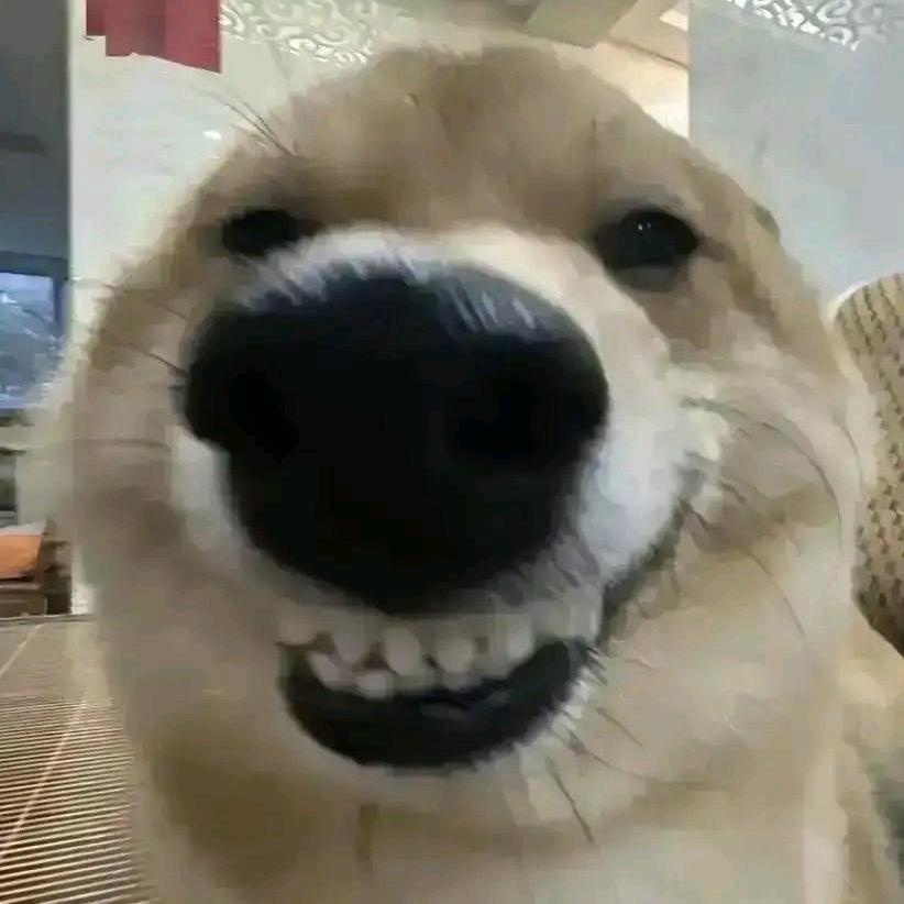 满怀正能量的有志之士头像
