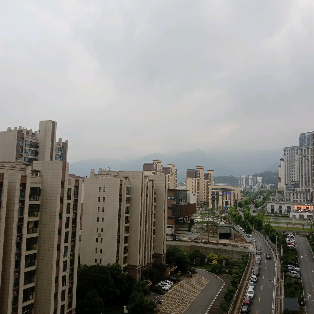 王大姐