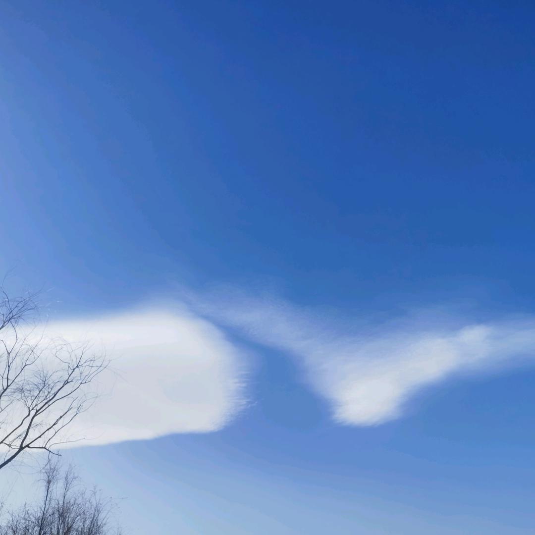 随风记