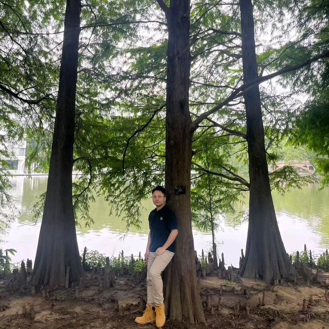 登恩不悔